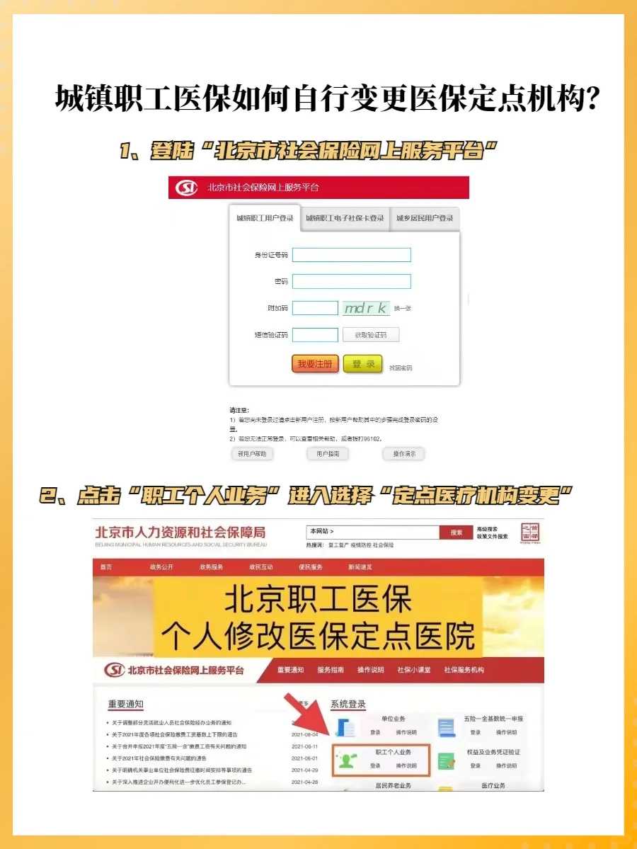 成都供卵试管全流程:从检查到验孕指南