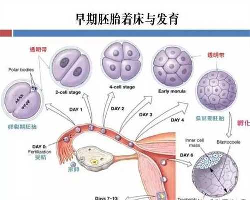 南京代孕产子,南京医院代孕,南京试管代孕大概多少钱