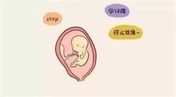 深圳助孕机构最好，深圳试管婴儿医院哪里好？