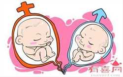 深圳代孕试管孕中心，做深圳试管婴儿的条件
