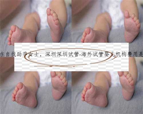 深圳在自找助孕女士，深圳深圳试管-海外试管婴儿机构费用是多少
