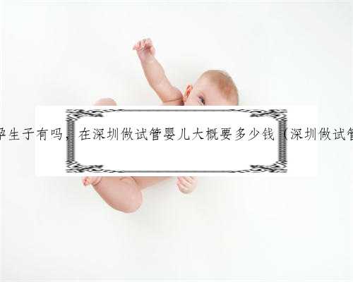 深圳助孕生子有吗，在深圳做试管婴儿大概要多少钱（深圳做试管费用）