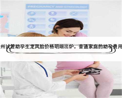 2023徐州试管助孕生龙凤胎价格明细出炉，普通家庭的助孕费用全解读